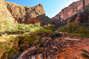 Why Many People Are Taking Tours To Kimberley? Why Many People Are Taking Tours To Kimberley?
